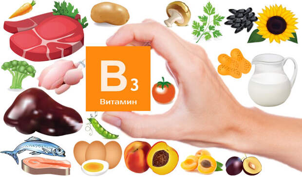 В каких продуктах содержится витамин В3 - В каких продуктах содержится витамин В
