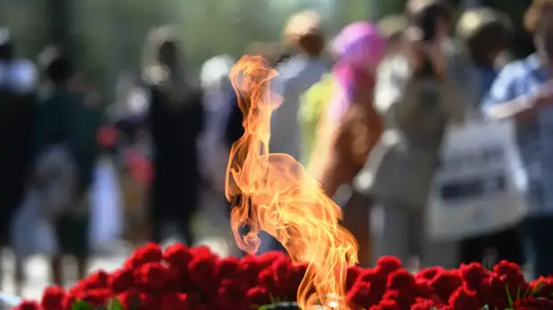 В Курске готовят экспозицию из найденных поисковиками фрагментов самолётов времён войны