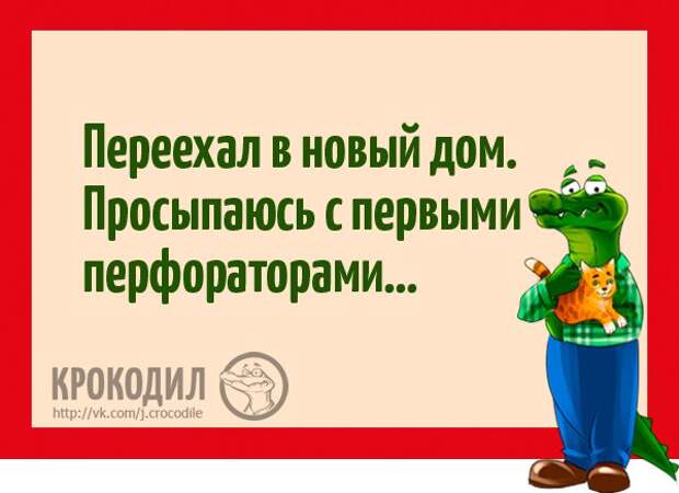https://pp.vk.me/c626217/v626217611/228eb/OYYjBAN_x_M.jpg