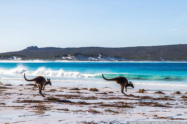 Lucky Bay