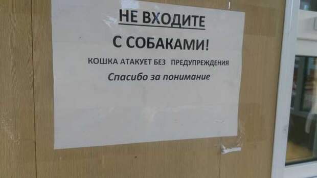 Смешные картинки ❘ 15 фото Смешные картинки ❘ 15 фото