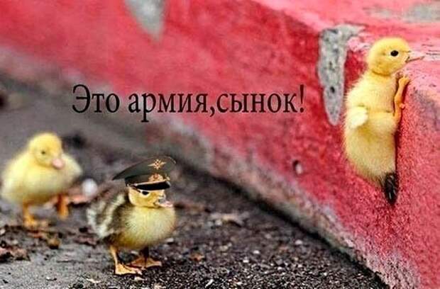 Картинки с надписями,истории и анекдоты