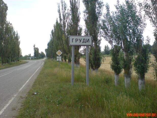 Улыбнись :) (29фото)