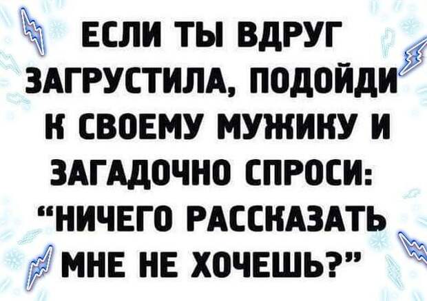 Подборка лучших шуток для настроения