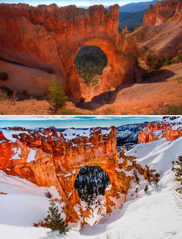 before-after-summer-winter-photography-changing-seasons-timelapse-17-57614812b73a1__880
