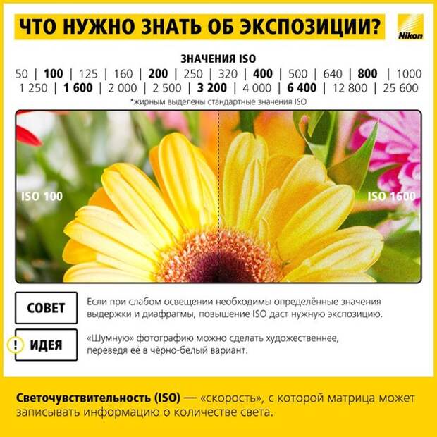 Учимся фотографировать: работа с экспозицией Учимся фотографировать: работа с экспозицией