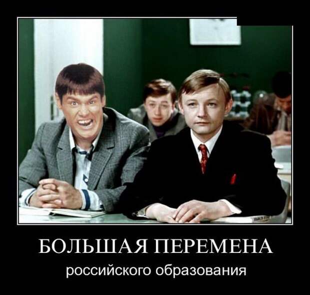 Забавные демотиваторы для настроения (11 фото)