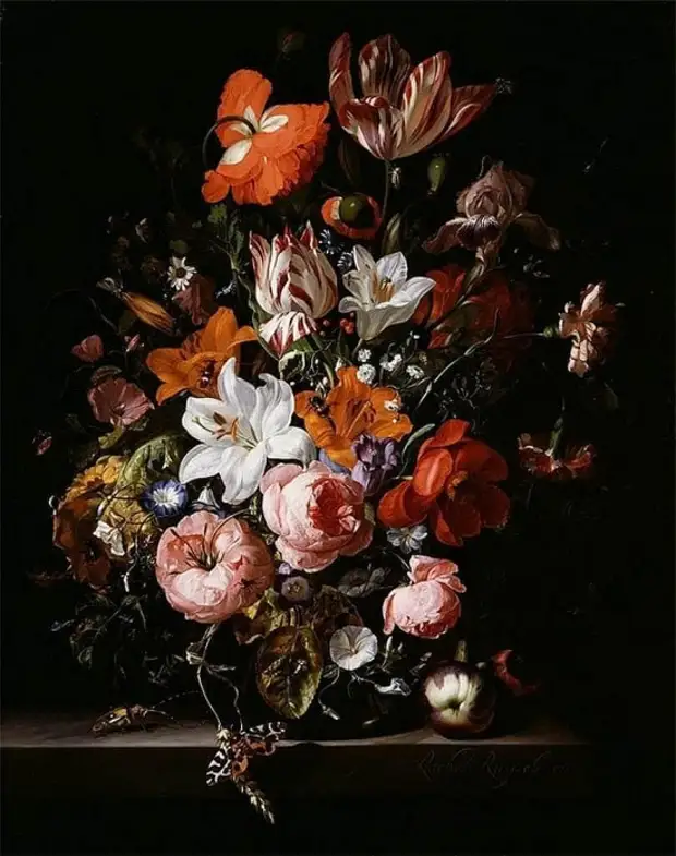  Rachel Ruysch (1664  1750).   