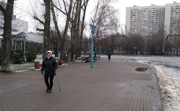 Соревнования по скандинавской ходьбе пройдут в Алтуфьеве Фото предоставлено организаторами