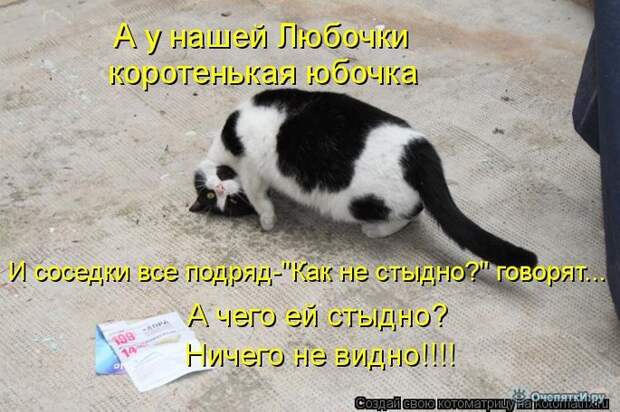 Смешные кошки в котоматрице 19