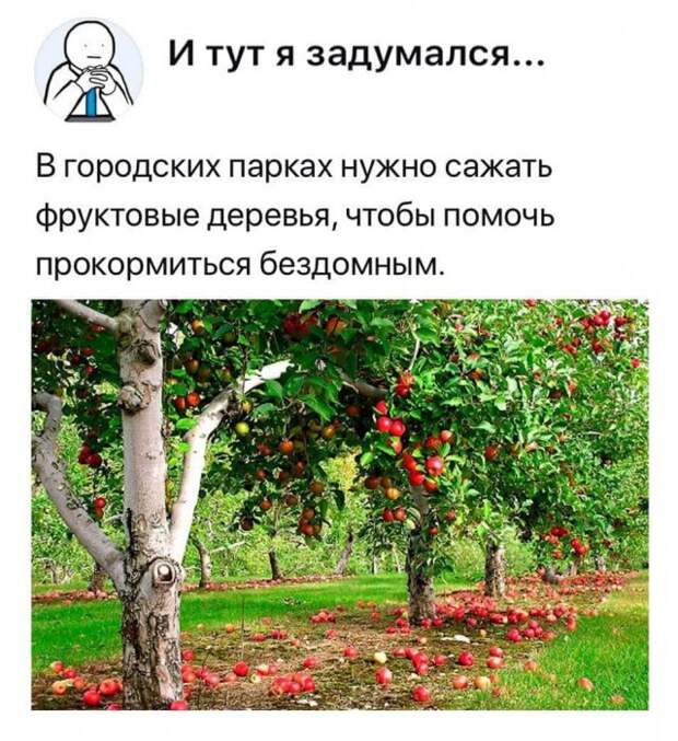 Вопросы и рассуждения от людей, которые плохо знают школьную программу