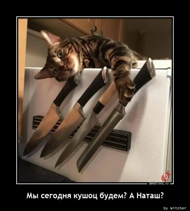 Прикольные демотиваторы для всех