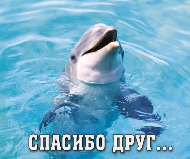 Добро уходящего года