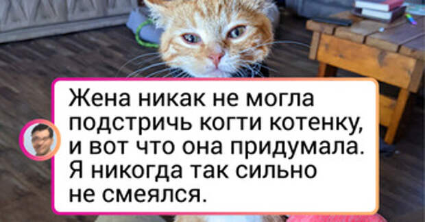 17 смекалистых людей, которые точно знают, что из любой ситуации всегда есть способ выкрутиться