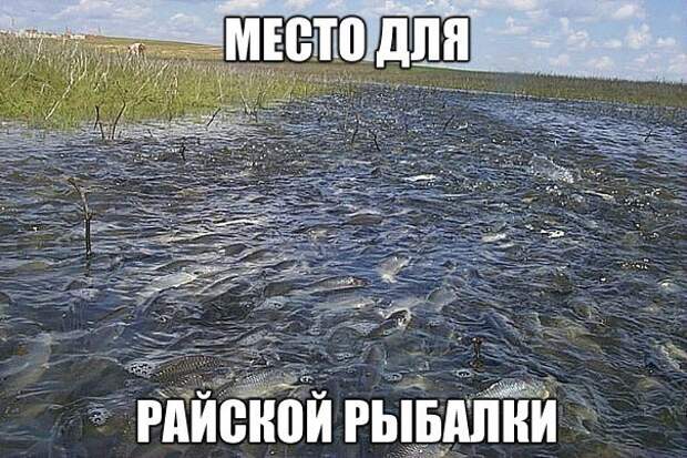 Прикольные картинки с надписями для настроения (11 фото) Прикольные картинки с надписями для настроения (11 фото)