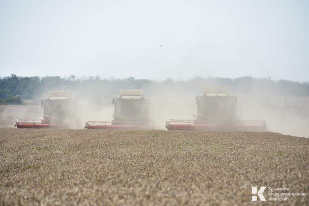 В начале лета в Крыму проверят около 700 тысяч тонн пшеницы