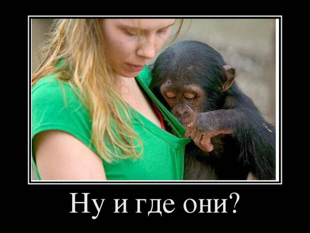 Разные демотиваторы