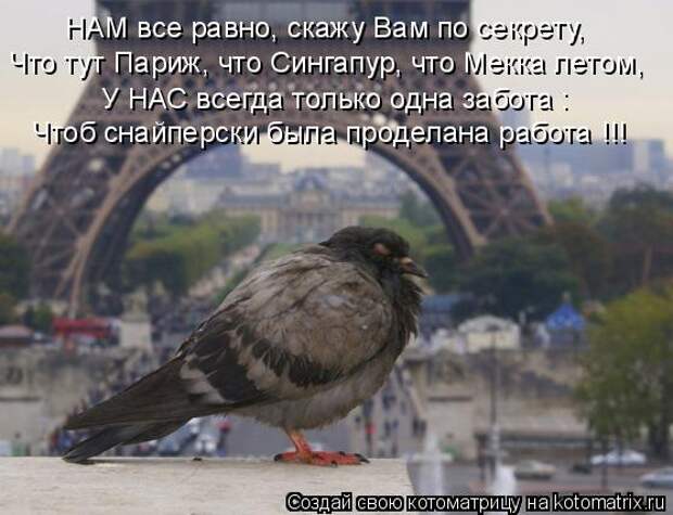 НАМ все равно, скажу Вам по секрету, Что тут Париж, что Сингапур, что Мекка летом, У НАС всегда только одна забота : Чтоб снайперски была проделана работа !!!