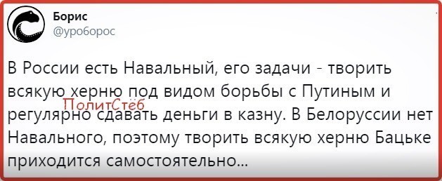 Политические картинки