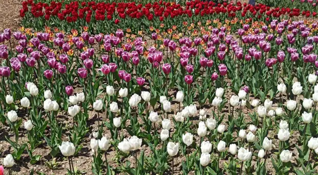 РИА ФАН/Дарья Сергеева