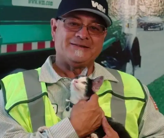 Мужчина нашел котенка в мусоровозе, а потом забрал к себе домой