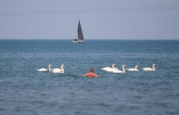 Россиян призвали не ждать снижения цен на отдых в Анапе