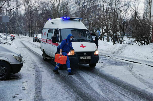 В России выявили контактировавших с заболевшим оспой обезьян