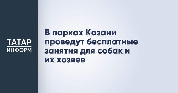 В парках Казани проведут бесплатные занятия для собак и их хозяев