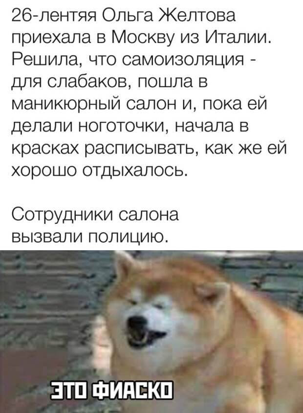 Смешные фото вечер 25 марта 2020