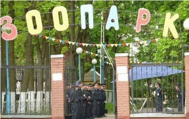 Когда камера удачно подловила тот самый момент