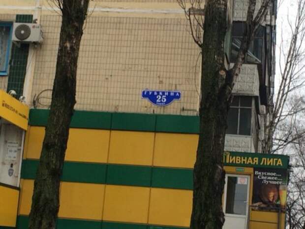 Кот Хатико в Белгороде на улице Губкина (5 фото)