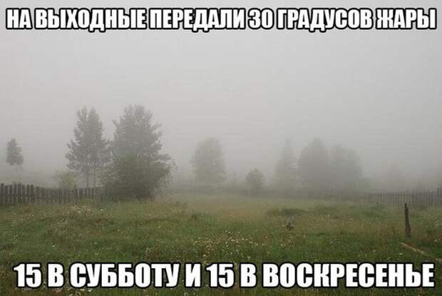 Прикольные картинки. Дневной выпуск (53 фото)