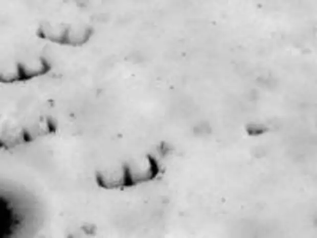 Мистическое существо с копытами и его следы – это был Дьявол?