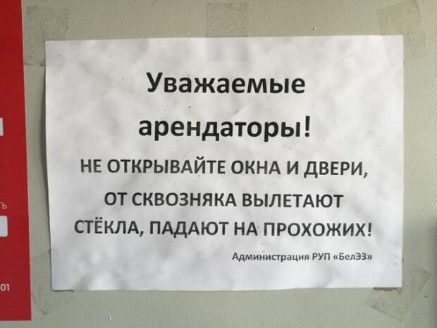 Подборка картинок. Вечерний выпуск (25 фото)
