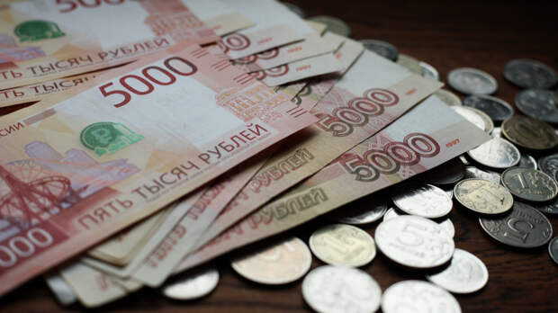 Лежат мертвым грузом: почему монеты нельзя быстро вывести из экономики