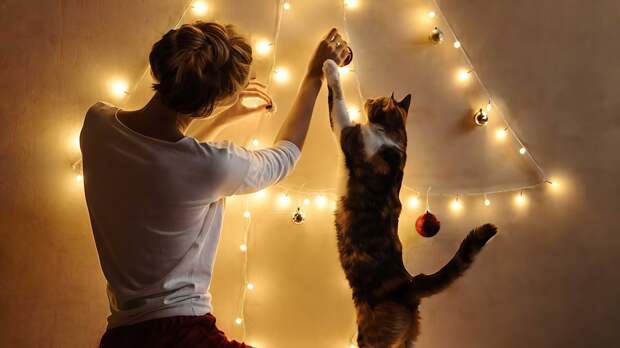 Ветеринар дала советы владельцам животных перед Новым годом