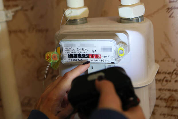 Депутат Чаплин: сельский тариф на электроэнергию — хорошая экономия для дачников