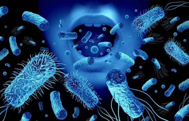 Оральный микробиом может предсказывать риск ожирения, показало исследование