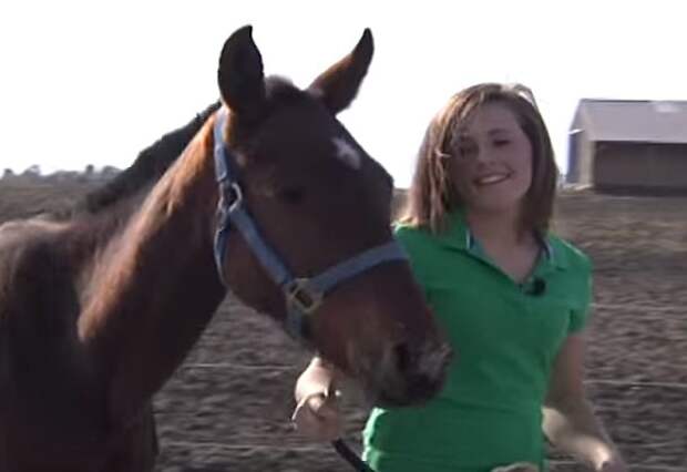 Она достойна уважения. Девушка спасла встретившуюся на дороге лошадь, которая была почти бездыханна