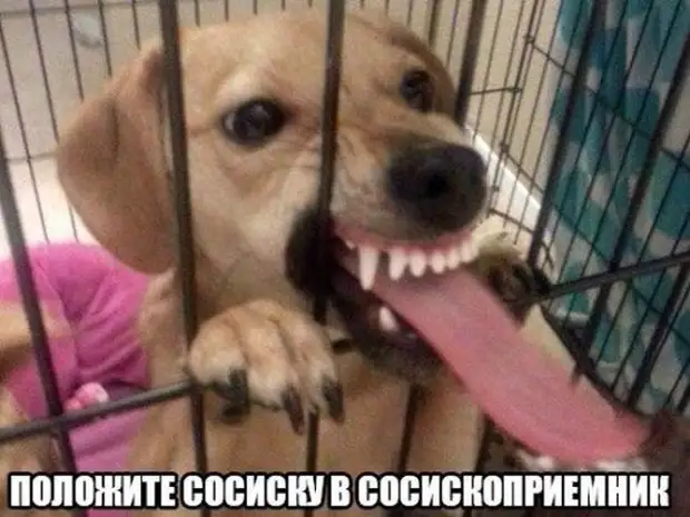 Смехотерапия дня. Забейте на всех и наслаждайтесь!