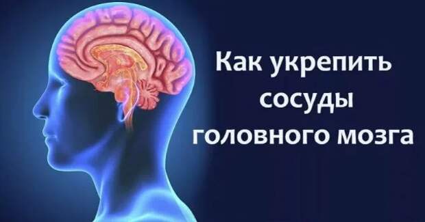 Забота о сосудах головного мозга