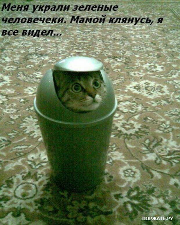 Фотоюмор
