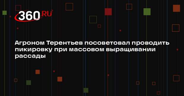 Агроном Терентьев посоветовал проводить пикировку при массовом выращивании рассады