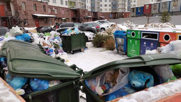 «Сидят в домике»: власти Петербурга продолжают игнорировать проблему с вывозом мусора