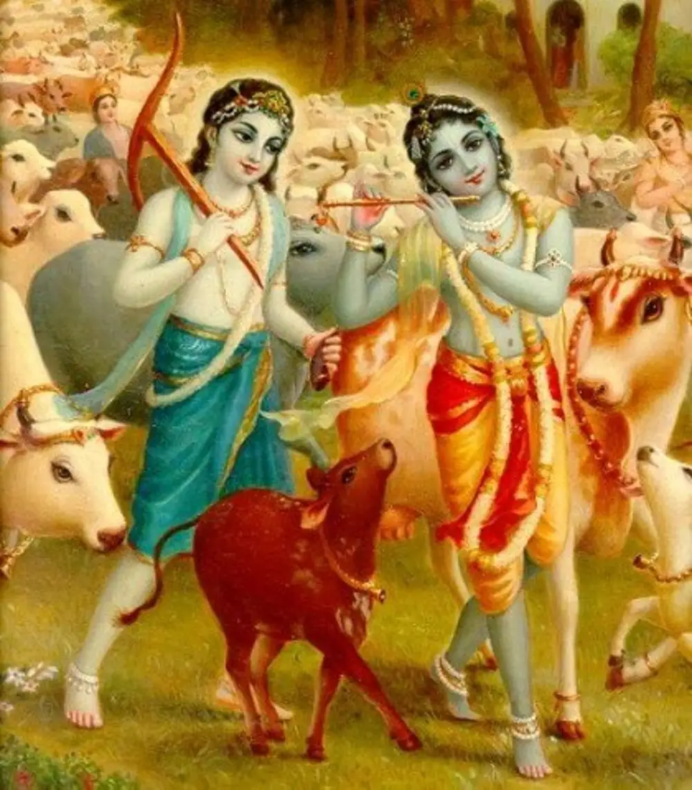 Кришна Баларама лебеди теленок Бхагаватам