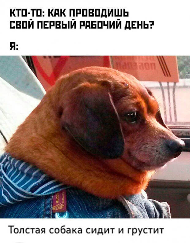 мем