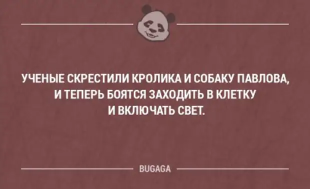 Ученые скрестили. Анекдот скрестили кролика и.