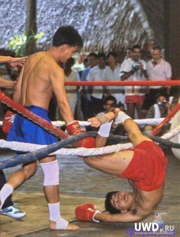 Курьезные фото из мира спорта курьез, спорт, юмор