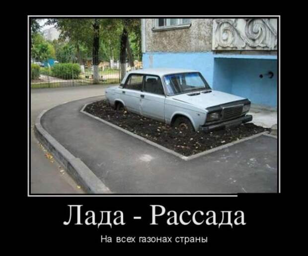 Всеобщее помешательство: а на твой подоконник тоже вторглась рассада?