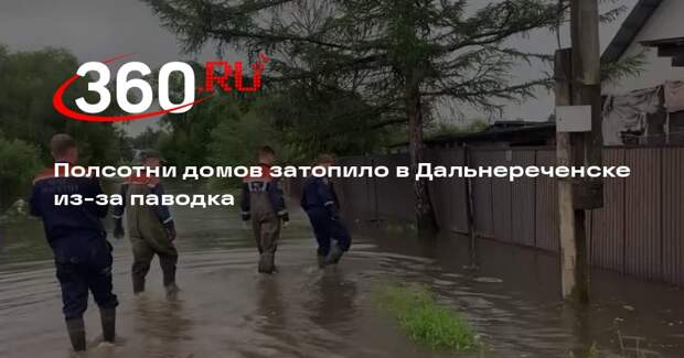 Более 50 домов и 213 придомовых территорий затопило в Дальнереченске